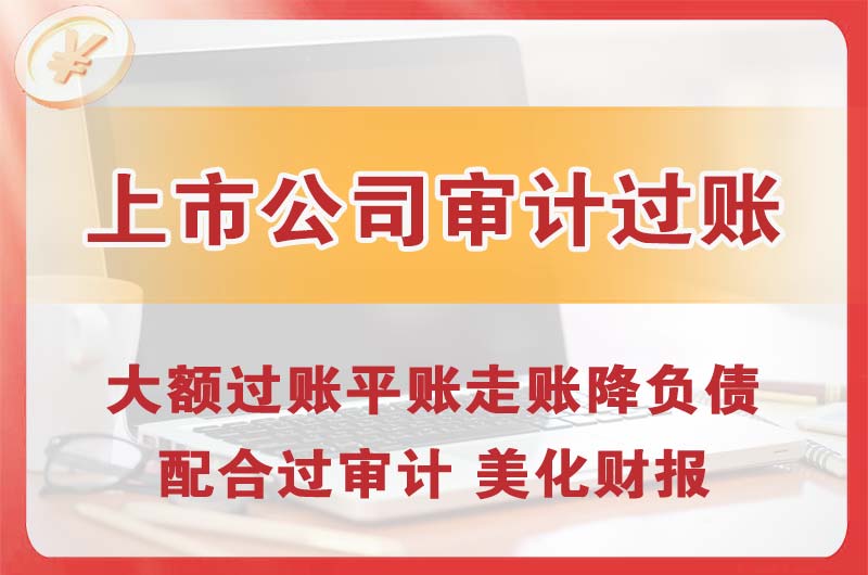 防城港上市公司审计过账